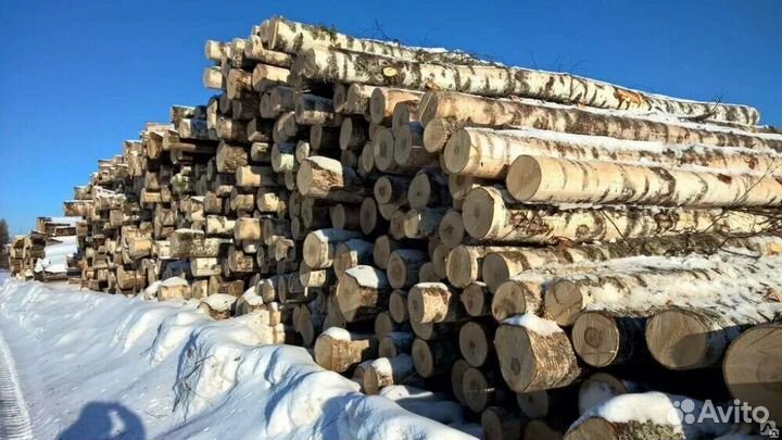 Продам Круглый лес берёза