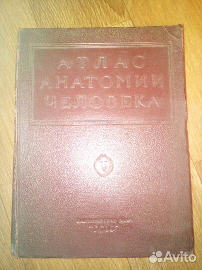 Атлас анатомии человека