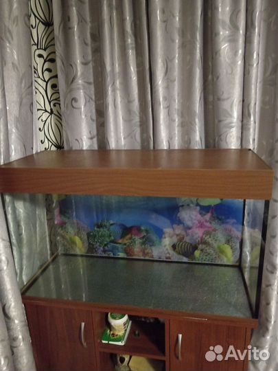 Аквариум