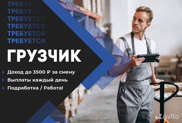 Грузчик выплаты каждый день