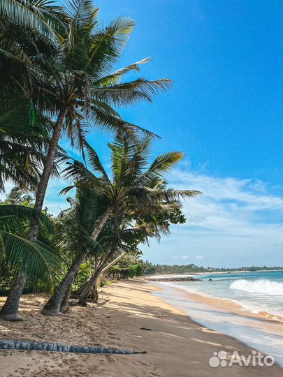 Шри-Ланка, индивидуально на любые даты