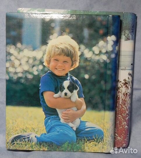 Фотоальбомы (2шт.)