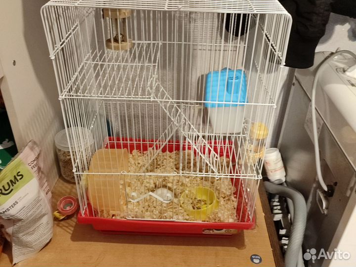 Клетка с хомяком