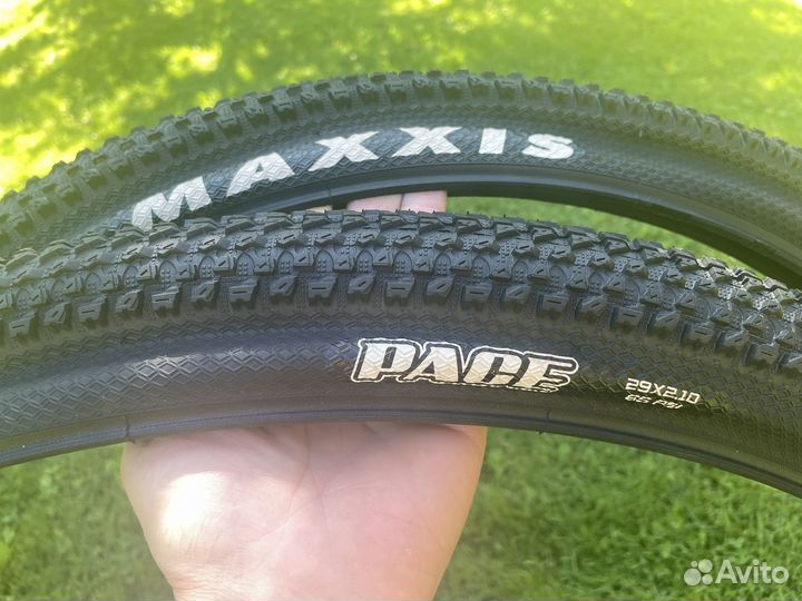 Maxxis Pace 29x2.1 новые покрышки