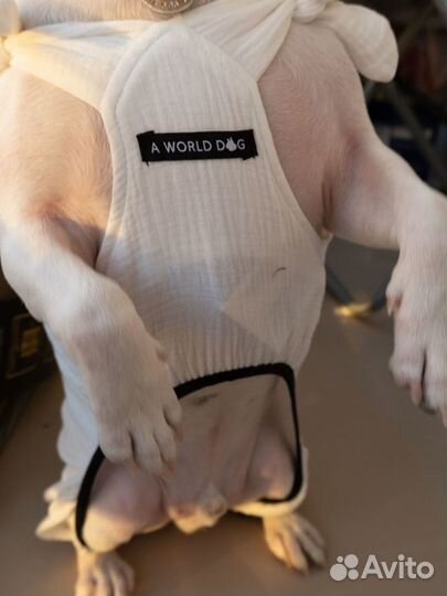 Уникальный комбенизон для собак