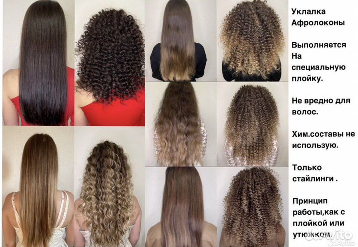 Мастер бровист