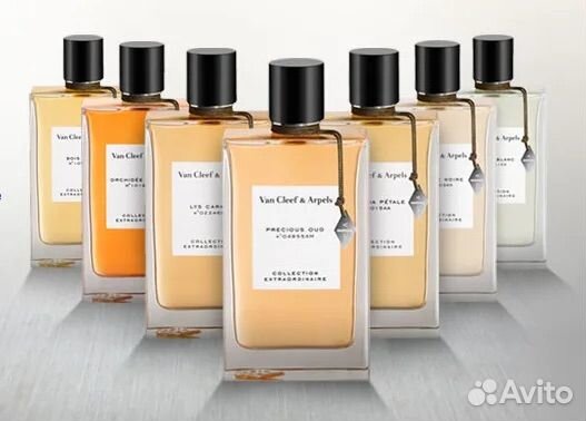 Van cleef arpels orchidee vanille 75 ml. Van cleef arpels collection extraordinaire santal blanc. Van cleef arpels collection extraordinaire santal blanc. Van cleef arpels oud. Van cleef arpels oud.