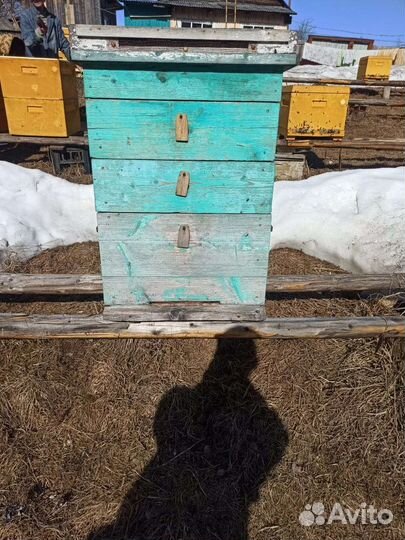 Ульи для пчел