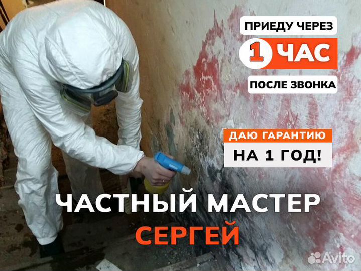 Удаление уничтожение обработка плесени грибка