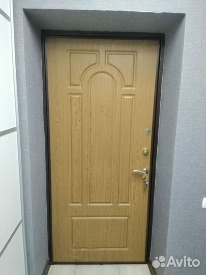 Дверь входная металлическая уличная