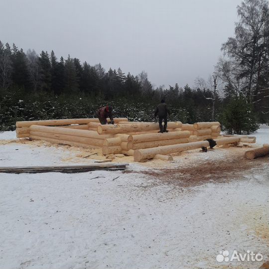 Срубы ручной рубки от производителя