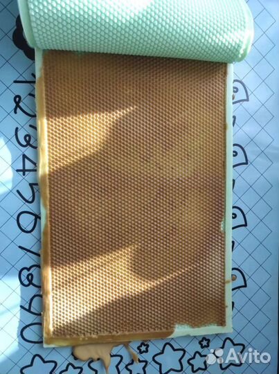 Форма матрица для литья вощины