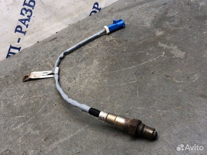 Нижний кислородный датчик Ford Focus 3