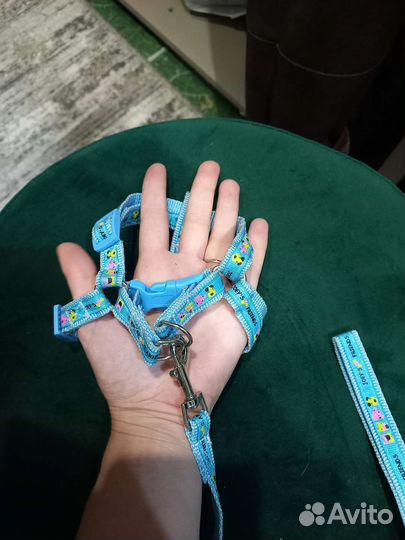 Шлейка и поводок