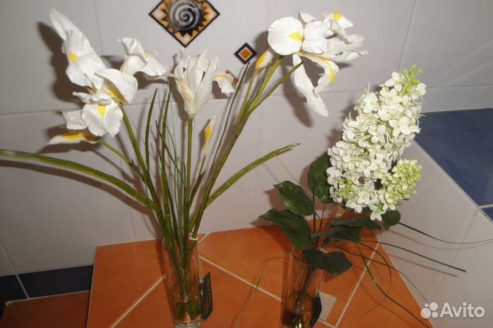 Декоративные цветы