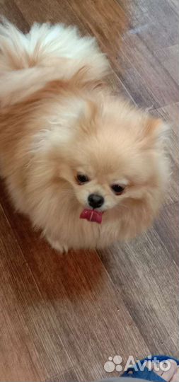 Мини парень