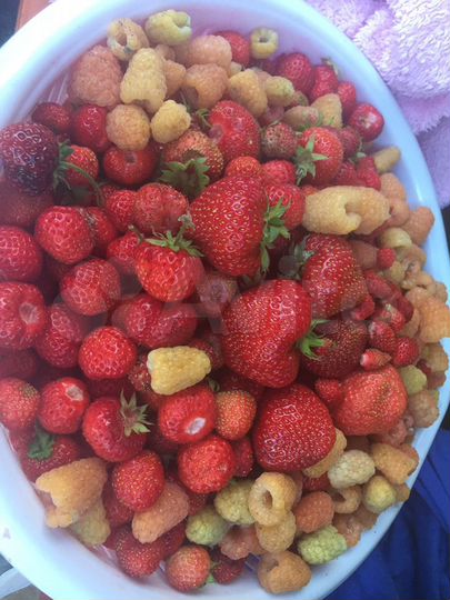 Коттедж 140 м² на участке 16 сот.