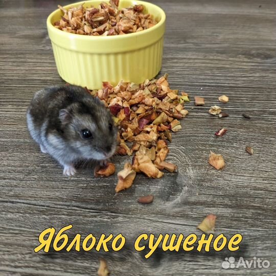Сушеные яблоки для грызунов 100г