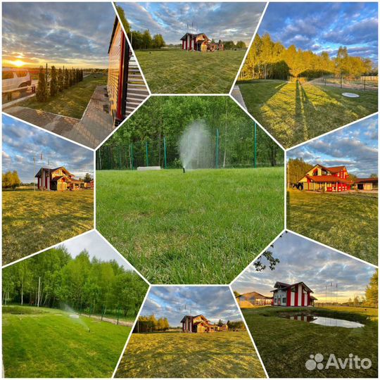 Рулонная газонная трава