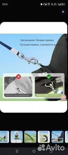 Дождевик для небольшой собаки