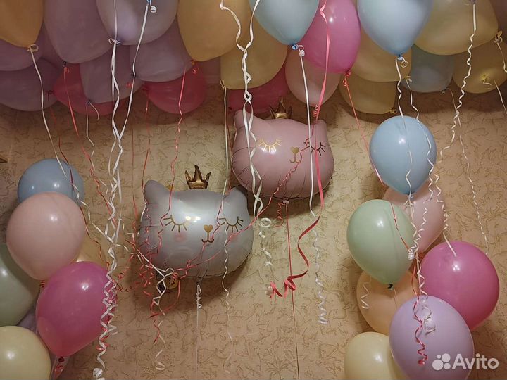 Котята шары