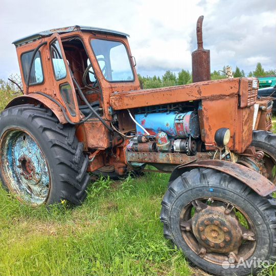 Трактор ЛТЗ Т-40, 1980