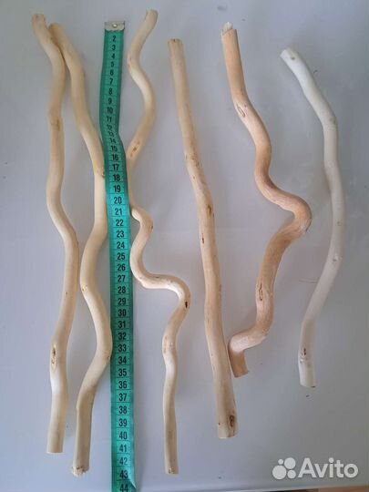 Спилы дерева, стволы для топиария, корелиус