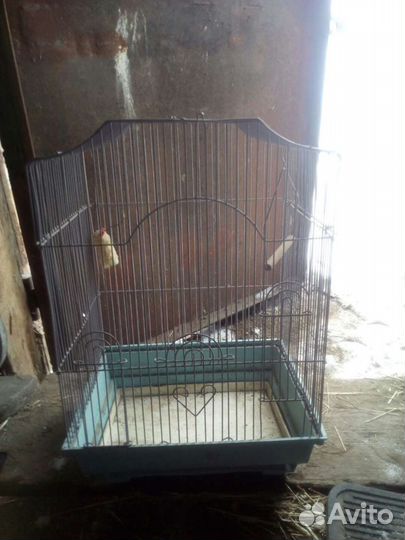 Клетка для птиц