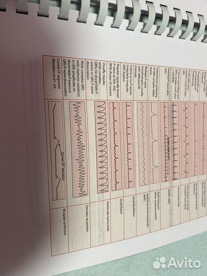 First Aid for usmle 2024 Step 1, Step 2, Step 3