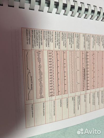 First Aid for usmle 2024 Step 1, Step 2, Step 3