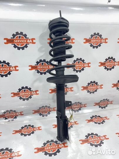 Амортизатор / стойка задний левый Toyota Windom