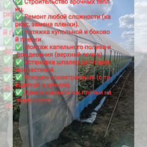 Строительство теплиц замена пленки ремонт, Михайловская