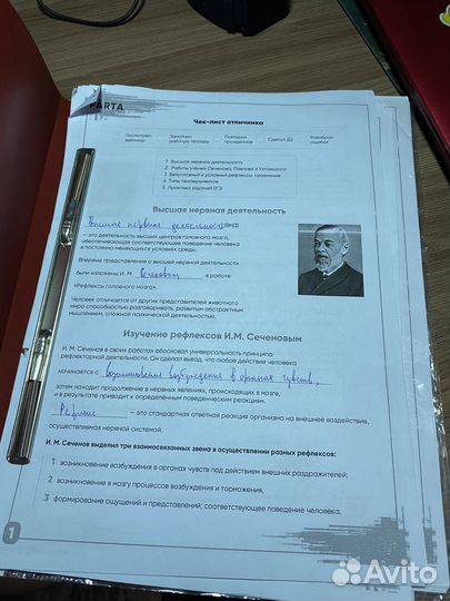 Скрипты по биологии(2 папки)