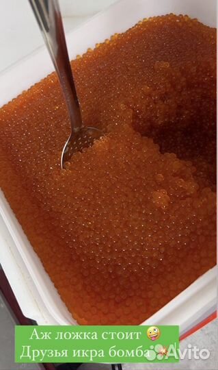 Красная икра горбуши
