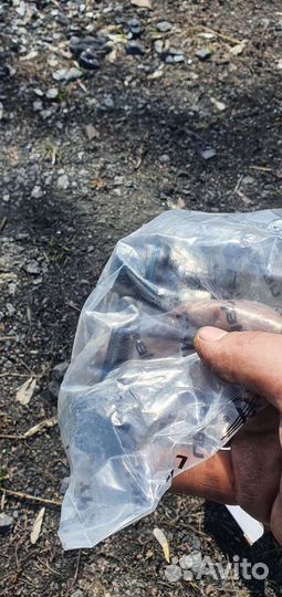 Сайленблоки honda civic ferio