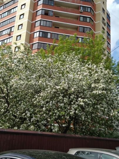 2-к. квартира, 70 м², 9/10 эт.