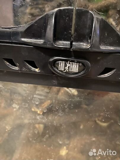 Террариум для хамелеона