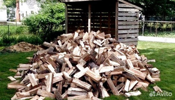 Дрова Береза