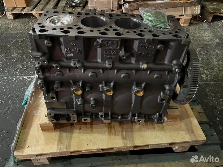 Шорт блок ямз 534 на Газон некст