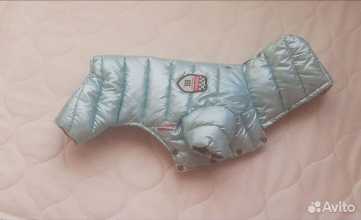 Конбениз для маленькой собачки