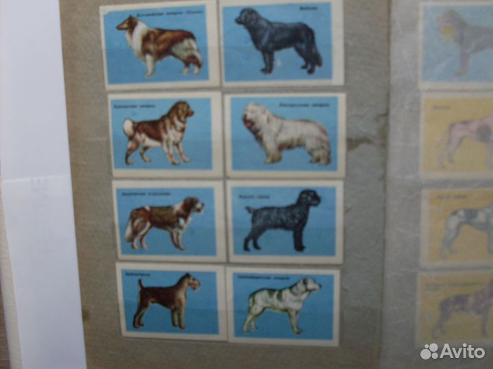 3 набора спичечных этикеток