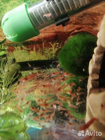 В хорошие руки с хорошим уходом