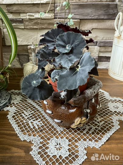 Кашпо украшения для горшков