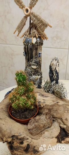 Кашпо для суккулентов из дрифтвуда