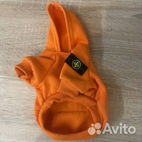 Stone island hot sale dog clothes