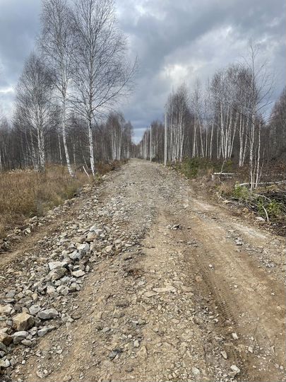 Участок 11 сот. (СНТ, ДНП)