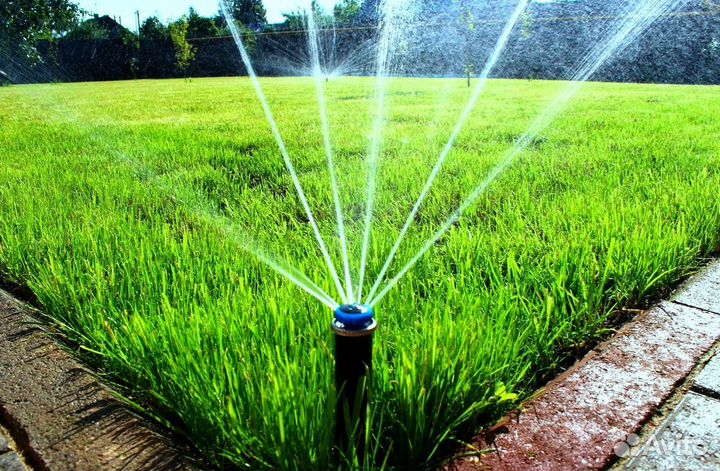 Рулонная трава с укладкой. Автополив. Посев