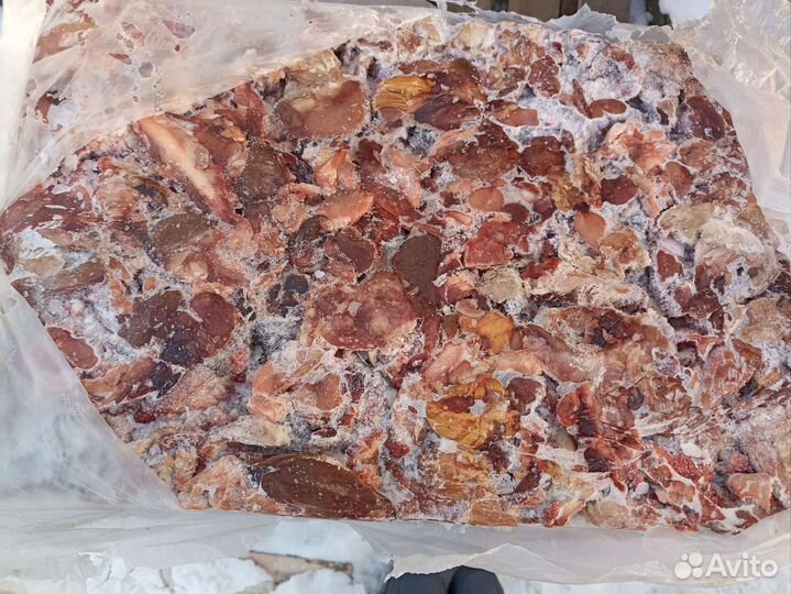 Мясо говядина для собак