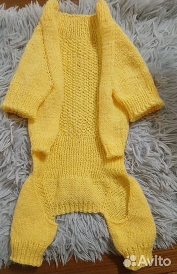 Одежда для маленьких собак