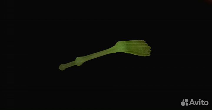 Сувениры,вещи,подарки. Можно обмен